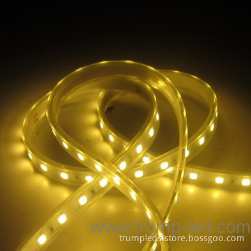 Indoor/outdoor lighting led lights 5050 60LED/M smd led strip light